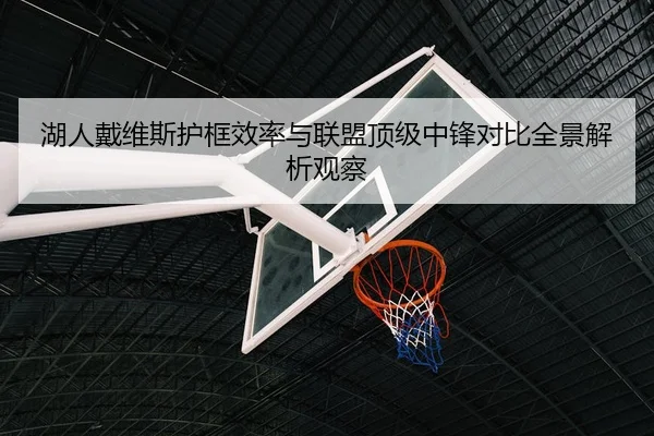 湖人戴维斯护框效率与联盟顶级中锋对比全景解析观察