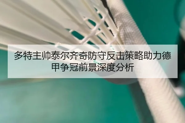 多特主帅泰尔齐奇防守反击策略助力德甲争冠前景深度分析