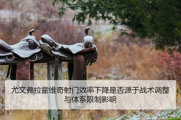 you-wen-fu-la-huo-wei-qi-she-men-xiao-lv-xia-jiang-shi-fou-yuan-yu-zhan-shu-tiao-zheng-yu-ti-xi-xian-zhi-ying-xiang-2-372.jpg