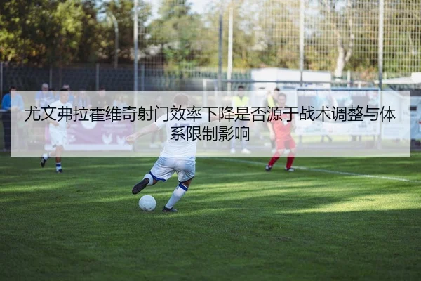 尤文弗拉霍维奇射门效率下降是否源于战术调整与体系限制影响