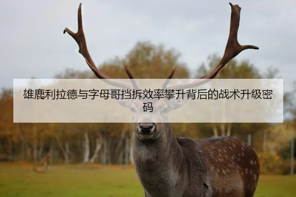 雄鹿利拉德与字母哥挡拆效率攀升背后的战术升级密码