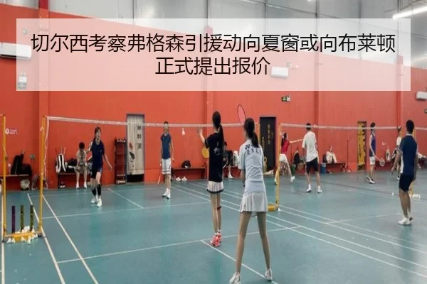 切尔西考察弗格森引援动向夏窗或向布莱顿正式提出报价